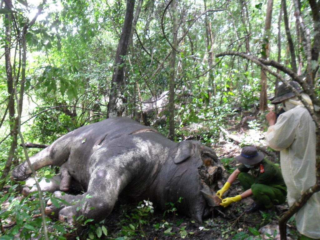 Cơ[-]quan[-]chức[-]năng[-]khám[-]nghiệm[-]hiện[-]trường.